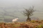 skirrid-8